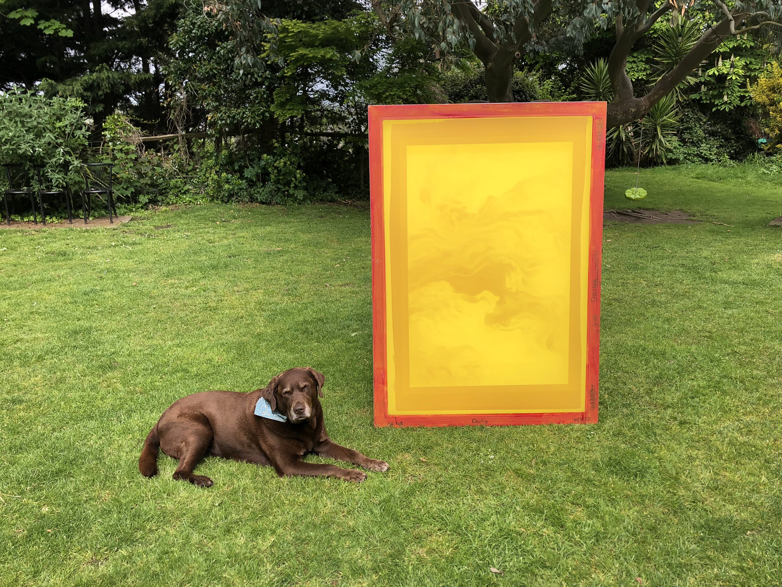 screen in garden